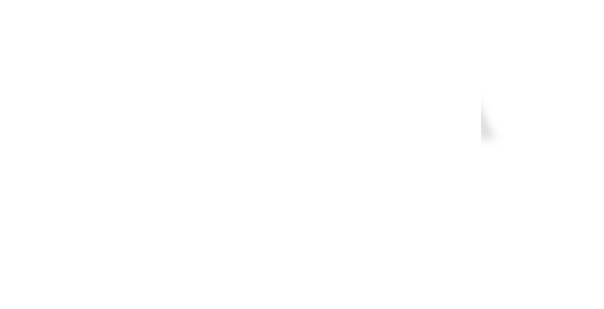 ANSELLIA
